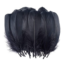 Craft Feathers Decoration 15-20cm 100Pc 6 Colors