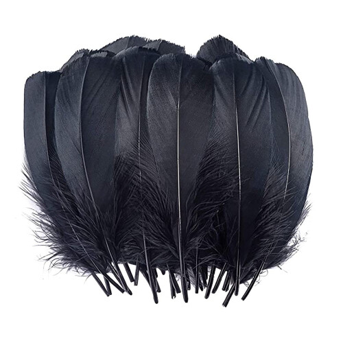 DIY Craft Feathers 15-20cm 100 pcs 6 colors