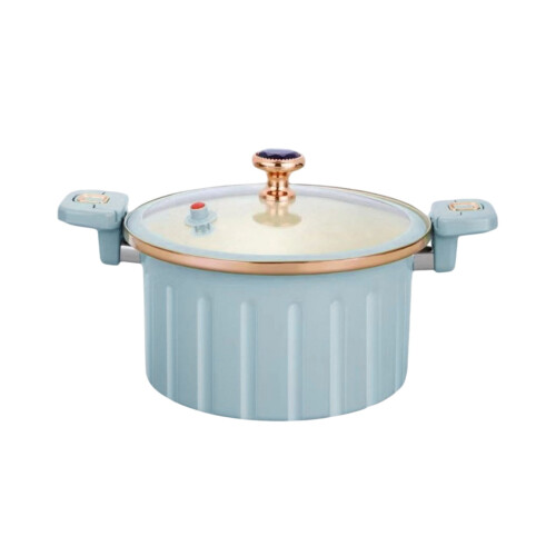 Vacuum Pressure Cooker Iron Pot 8L