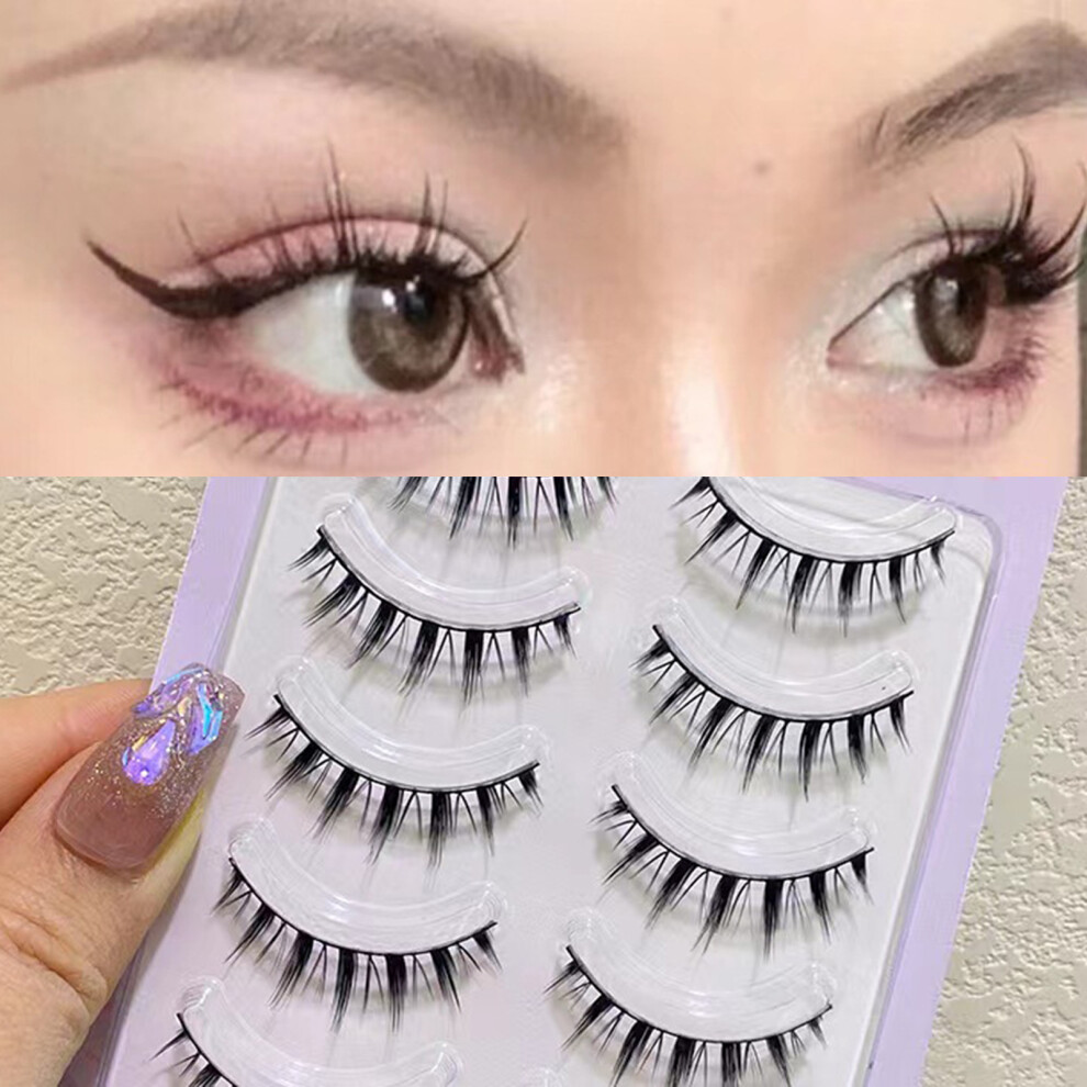 Dachuang Beauty 5 Pairs Fluffy Volume Eyelashes For Women