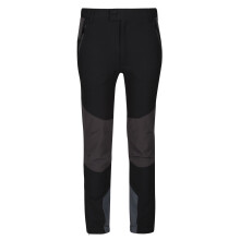 (14-15 Years, Black/Ash) Regatta Childrens/Kids Tech Mountain Hiking Trousers