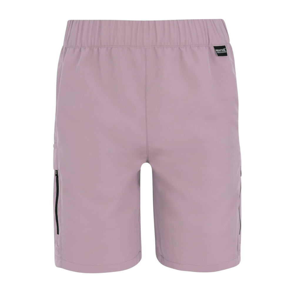 Regatta (14 Years, Powder Lilac) Childrens/Kids Sorcer Iii Shorts