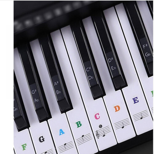 Piano Sticker Transparent 54 61 or 88 Key