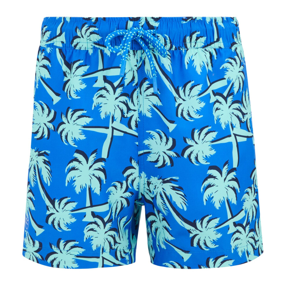 Regatta (9 - 10 Yrs, Sonic Blue/Ice Green Palm Trees) Kids Skander Swim Shorts