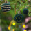 Christmas Ornaments Set Black Suede 12 Pieces 6