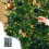 Christmas Ornaments Set Black Suede 12 Pieces 2