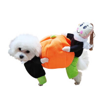 Pet Pumpkin Lifting Costume Halloween Decoration with