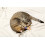 Rainbow Cat Toys with Feathers and Bells 10 Pcs 4