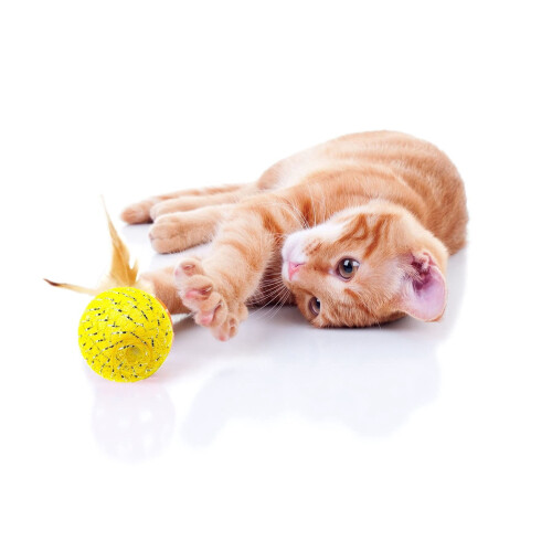 Rainbow Cat Toys with Feathers and Bells 10 Pcs 2