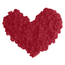 Pétales de roses artificielles rouges pour événements romantiques (1000 pièces)
