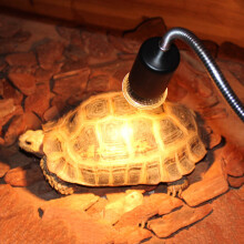 Lampe chauffante pour tortues (1 pièce)