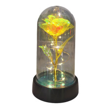 Rose Galaxie sous dôme de verre avec lumière LED