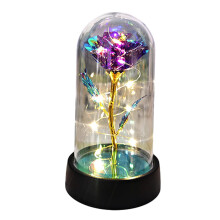Rose Galaxy conservée sous dôme de verre avec lumière LED