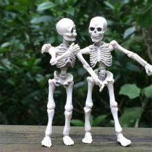 12 Inch Posable Anatomical Skeleton Model with Movable