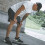 Men's Cotton Jogging Shorts Black 1 Pack 4