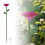 Bee Watering Station Flower Design 1 Piece 1