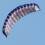 Power Kite Dual Handle Traction Line 55 inch Blue 6