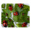 Egérpad bogár és katicabogár levelek mintával 21x25cm 1