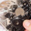 MUSEYA Mechanical Disc Brake Pads 2 Pairs 8