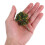 NICEXMAS Plastic Lemon Tree Faux Plant for Model Scenery 6 5