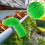 Telescopic Gutter Brush 2.35M Extendable Cleaning Tool 4