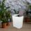 Kitchen Recycling Bin Beige PP 1 Set 3