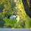 Plush Bird Nest Hammock for Parrots and Small Pets 8