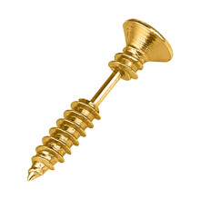 Screw Piercing Earrings Stainless Steel 2PCS