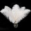 Ostrich Feathers Natural White 10-12 inch 20 pcs 1