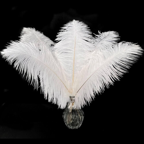 Ostrich Feathers Natural White 10-12 inch 20 pcs