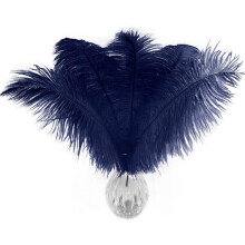 Ostrich Feathers Natural White 10-12 Inch 20 Pcs