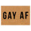 Αντιολισθητικό χαλάκι πόρτας Gay Pride για εξωτερικούς χώρους 16x24 ίντσες 1