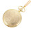 Antique Pocket Watch with Chain 1 Piece 1