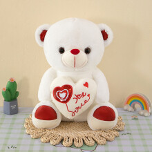 Valentine's Teddy Bear Plush Stuffed Animal 9.8 inch