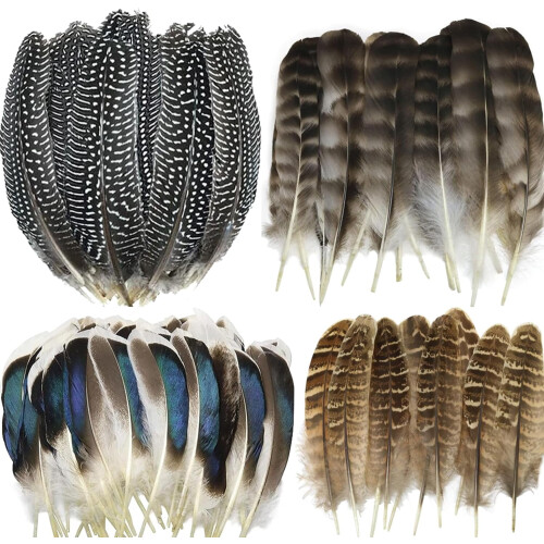 Turkey Pheasant Duck Feathers for Crafts 40 pcs