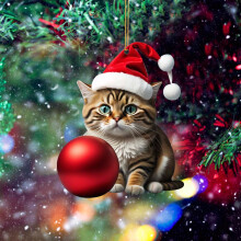 Grappige kat kerstboomhanger van acryl, 1 stuk