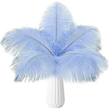 Baby Blue Ostrich Feathers Natural 24 pcs 10-12 inch