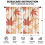 Pumpkin Pattern Thanksgiving Curtains Farmhouse Style 2 2
