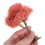 Miniature Model Trees for Train Scenery HO O Scale 7
