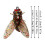 Bionic Fly Fishing Bait Dry/Wet Flies 20PCS 2
