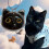 Pet Hair Keepsake Locket Keychain Clear PVC 1pc 5