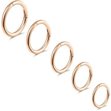 G23 Titanium Nose Rings 16G-20G Hinged Clicker Hoops 6-10mm