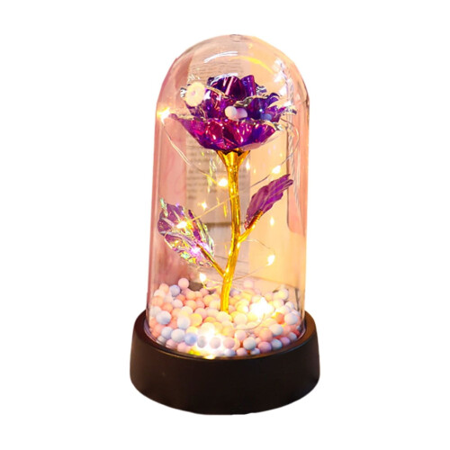 Eternal Rose in Glass Dome with LED Lights 1pc