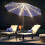 Solar Patio Umbrella Lights Remote Control Waterproof 12 LED 7