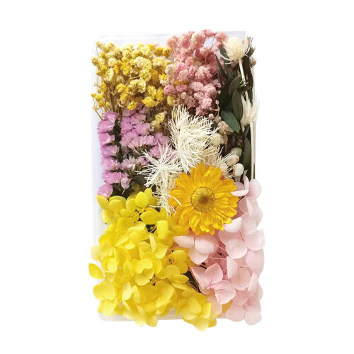 Natural Dried Flowers Mixed Colors 100g