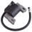 Ignition Coil Compatible with 591420 793281 793352 792594 3