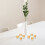 Coin Box Protector Case for Collectors 10 Pcs 2