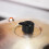Steam Release Valve for Electric Pressure Cookers 4