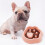 Comedouro lento para cães em formato de garra com base antiderrapante de 20 cm (8 polegadas). 4