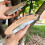 Steel Folding Hand Saw for Tree Trimming and Pruning 6